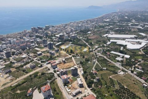 1+1 Lägenhet i Alanya, Antalya, Turkiet Nr. 179689 - 17