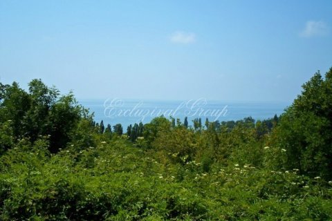 Land plot  in Bodrum, Mugla, Turkey No. 179265