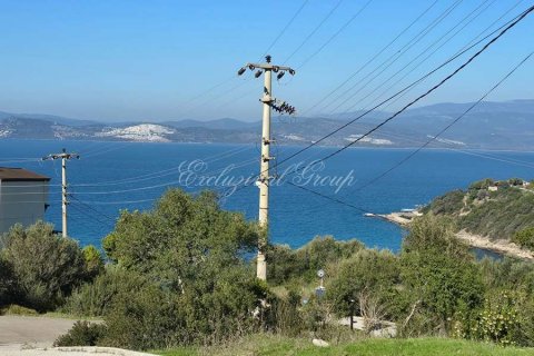 Land  in Bodrum, Mugla, Türkei Nr. 179264 - 3