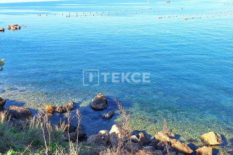 3+1 Lägenhet i Gemlik, Bursa, Turkiet Nr. 184396 - 10