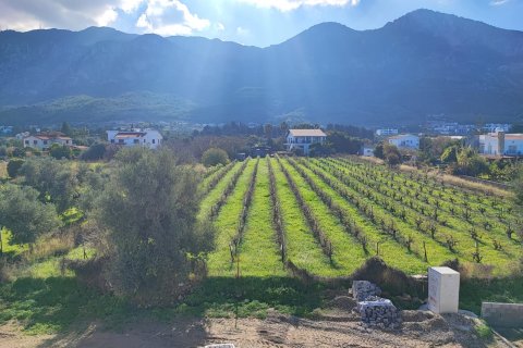Villa for sale in Girne, Northern Cyprus, 165m2, No. 211039 – photo 21