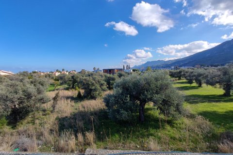 Villa for sale in Girne, Northern Cyprus, 165m2, No. 211039 – photo 22