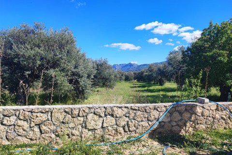 Villa for sale in Girne, Northern Cyprus, 165m2, No. 211039 – photo 25