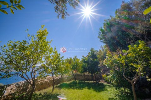 Villa  4+1  Alanya, Antalya, Türkiye №193204 - 13