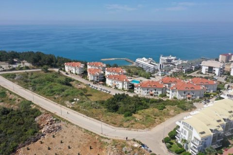 1+1 Wohnung in Konakli, Antalya, Türkei Nr. 178205 - 21