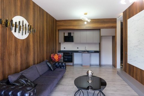 1+1 Lägenhet  i Altintash, Aksu, Antalya, Turkiet Nr. 206510 - 24