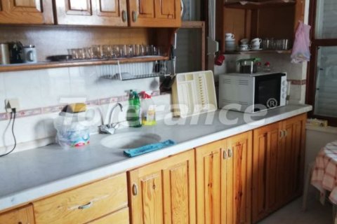 ویلا در  Alanya ، ترکیه 3 خوابه ، 500 متر مربع.  شماره 160886 - 16