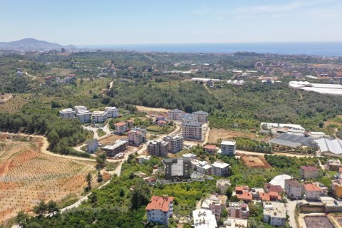 1+1 Lägenhet  i Alanya, Antalya, Turkiet Nr. 179502 - 2