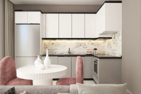 1+1 Leilighet  i Alanya, Antalya, Tyrkia Nr. 179503 - 23