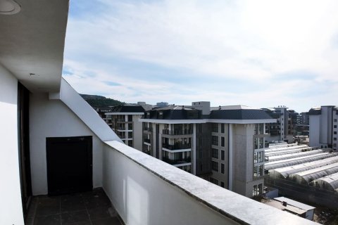 Dubleks daire  2+1  Kargıcak, Alanya, Antalya, Türkiye №47430 - 23