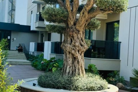 Apartment for sale in Oba, Antalya, Turkey, 55m2, No. 206567 – photo 18