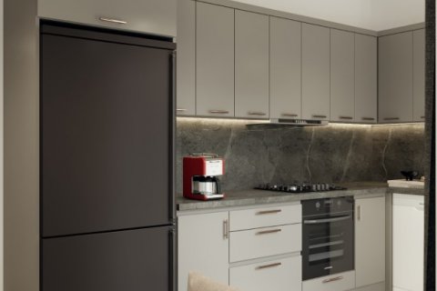 1+1 Lägenhet  i Alanya, Antalya, Turkiet Nr. 177457 - 24