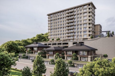 4+1 Wohnung  in Istanbul, Türkei Nr. 173041