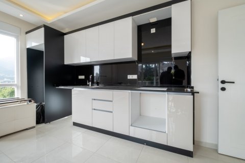 Daire  1+1  Alanya, Antalya, Türkiye №170705 - 19