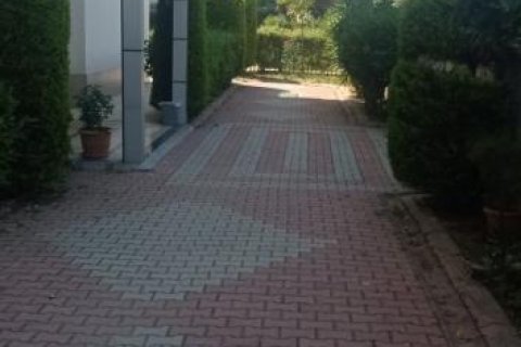 Daire   Mahmutlar, Antalya, Türkiye №168506 - 11