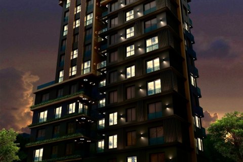 1+1 Wohnung  in Istanbul, Türkei Nr. 173361