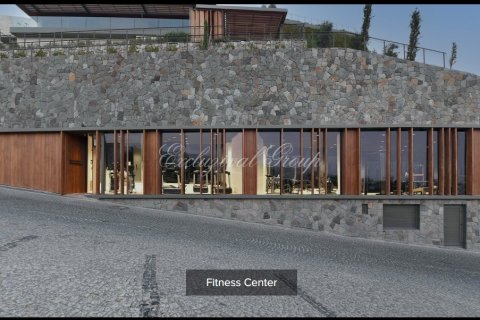 3+1 Villa  i Bodrum, Mugla, Tyrkia Nr. 178833 - 28