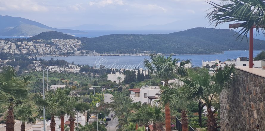 Tom i Bodrum, Mugla, Tyrkiet Nr. 179306