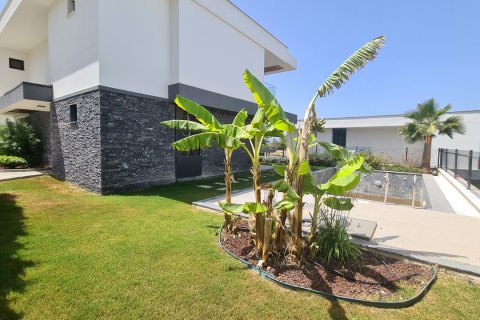   in Kusadasi, Aydin, Türkei Nr. 167528 - 4