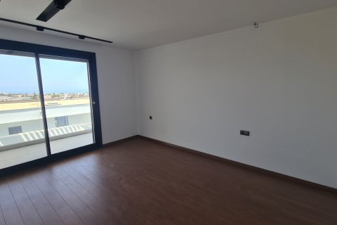   in Kusadasi, Aydin, Türkei Nr. 167528 - 24