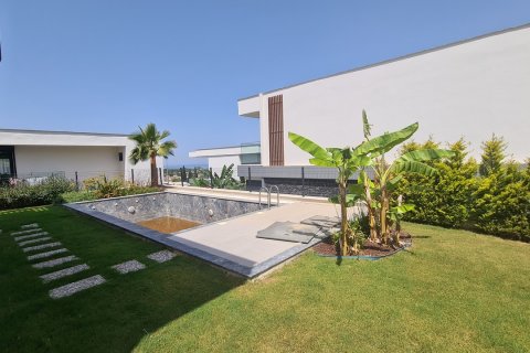   in Kusadasi, Aydin, Türkei Nr. 167528 - 5