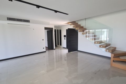   in Kusadasi, Aydin, Türkei Nr. 167528 - 16