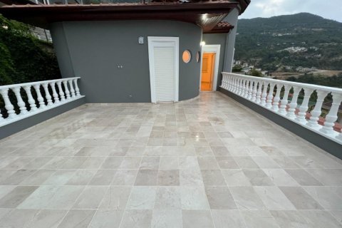 Villa  i Alanya, Antalya, Tyrkia Nr. 160034 - 23