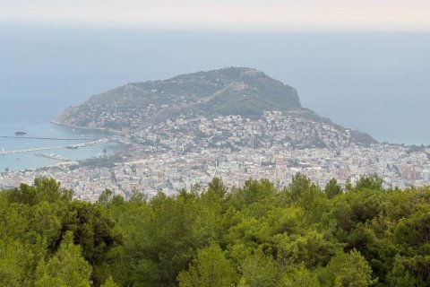 Villa  i Alanya, Antalya, Tyrkia Nr. 160034 - 25