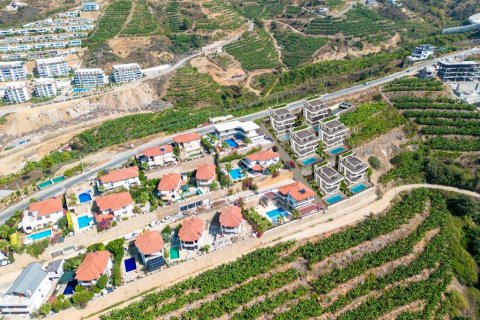 ویلا در Kargicak، Alanya ، ترکیه 223 متر مربع. شماره 187125 - 13