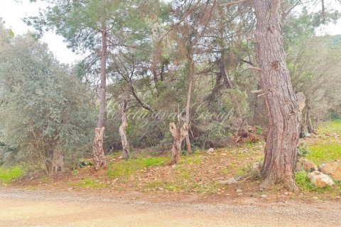2+1 Villa i Bodrum, Mugla, Tyrkia Nr. 179120 - 3