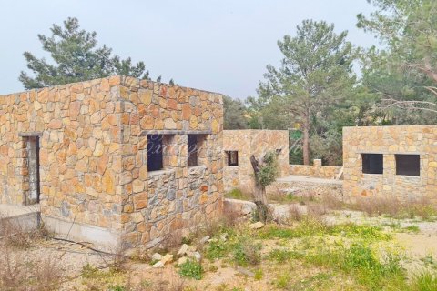 2+1 Villa  in Bodrum, Mugla, Turkey No. 179120