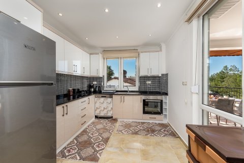 3+1 Villa  i Alanya, Antalya, Turkiet Nr. 173302