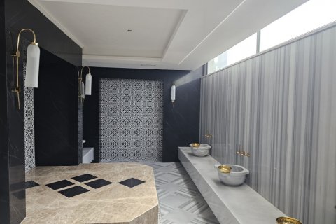 1+1 Lägenhet  i Alanya, Antalya, Turkiet Nr. 191234 - 10
