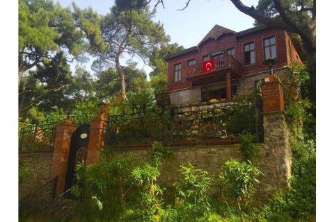 Villa 5+1 Adalar, İstanbul, Türkiye №176216 - 10