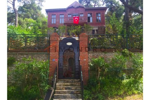 5+1 Villa  in Adalar, Istanbul, Turkey No. 176216