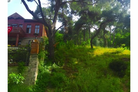 Villa 5+1 Adalar, İstanbul, Türkiye №176216 - 16