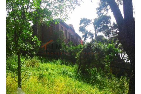 Villa 5+1 Adalar, İstanbul, Türkiye №176216 - 11