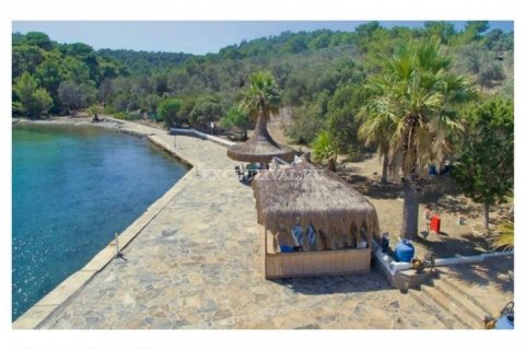 5+2 Villa  i Bodrum, Mugla, Turkiet Nr. 178822 - 23