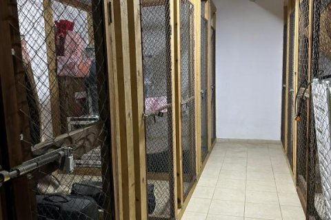 Wohnung in Alanya, Antalya, Türkei Nr. 168497 - 29