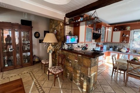 4+0 Villa  i Bodrum, Mugla, Turkiet Nr. 179252 - 13