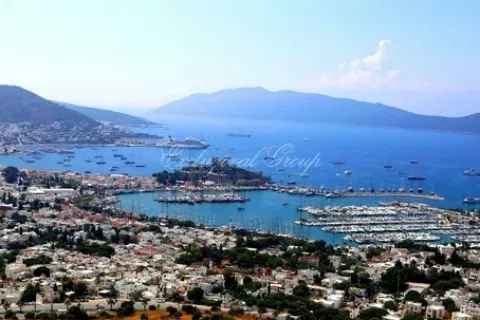 4+0 Villa  in Bodrum, Mugla, Turkey No. 179252