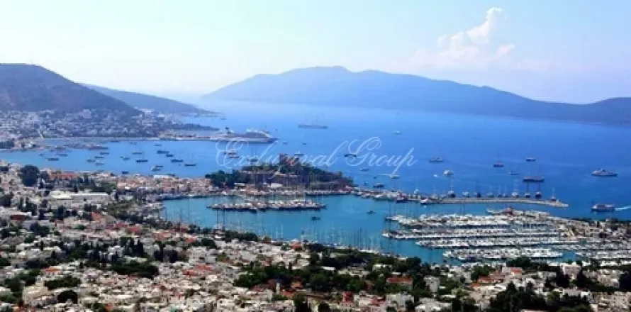 4+0 Villa  i Bodrum, Mugla, Turkiet Nr. 179252