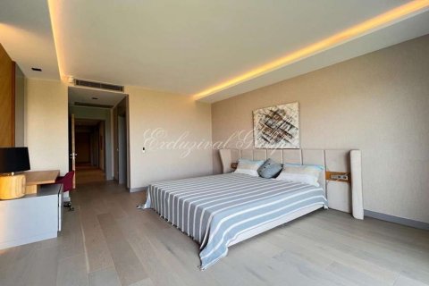5+1 Villa i Bodrum, Mugla, Turkiet Nr. 186962 - 13