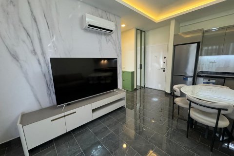1+1 Wohnung  in Alanya, Antalya, Türkei Nr. 186964 - 5