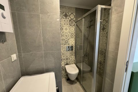 1+1 Wohnung  in Alanya, Antalya, Türkei Nr. 186964 - 13