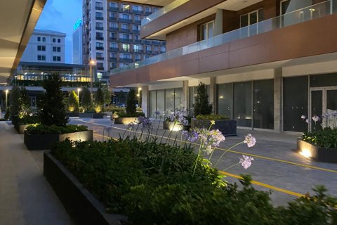 1+1 Lejlighed  i Istanbul, Tyrkiet Nr. 166324 - 2
