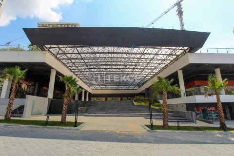 Ticari gayrimenkul   Esenyurt, İstanbul, Türkiye №45040 - 4
