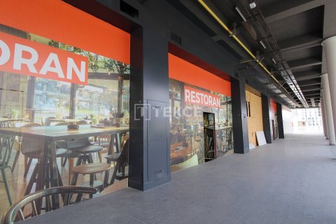 Ticari gayrimenkul   Esenyurt, İstanbul, Türkiye №45040 - 7