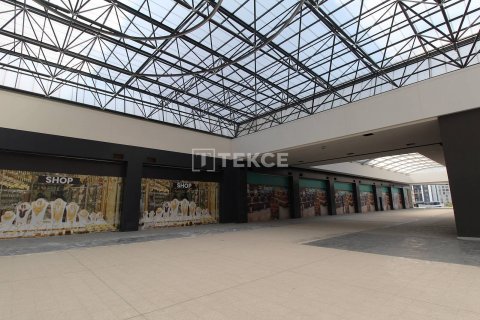 Ticari gayrimenkul   Esenyurt, İstanbul, Türkiye №45040 - 6