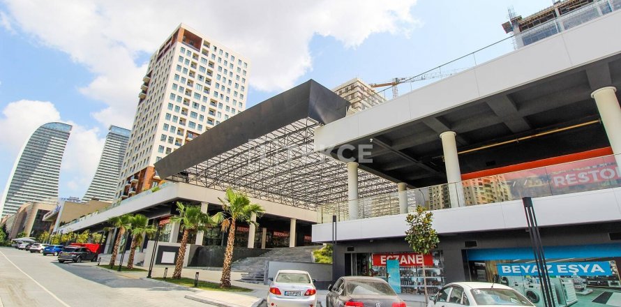 Ticari gayrimenkul   Esenyurt, İstanbul, Türkiye №45040